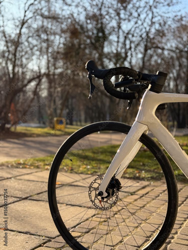 Fototapeta premium Cycling Adventure in the Countryside with a Road Bike