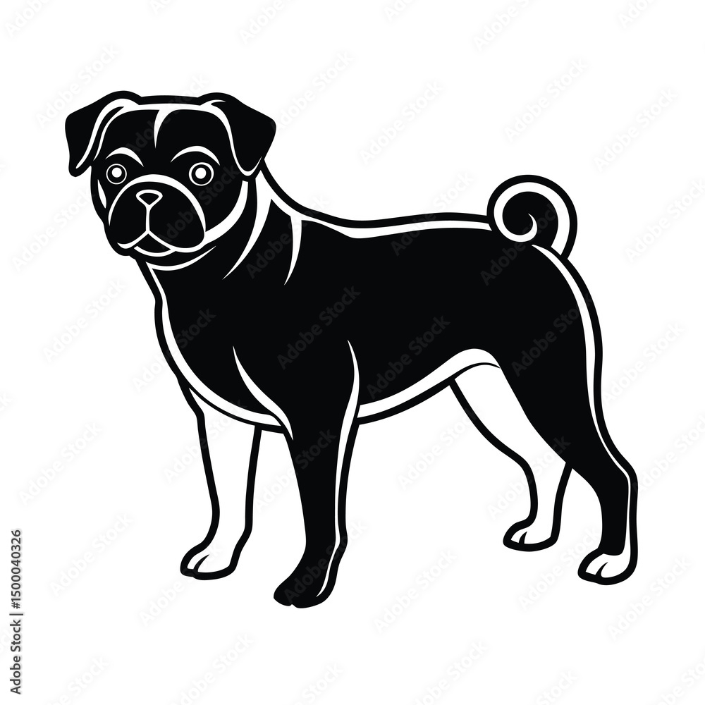 Obraz premium pug dog head
