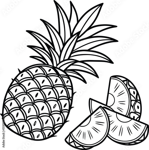 vector illustration of pineapple