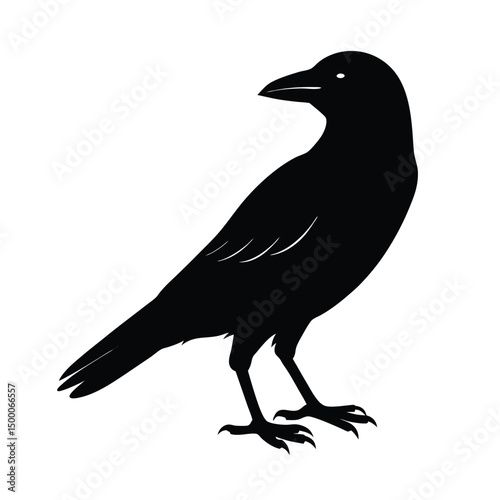 crow vector silhouette
