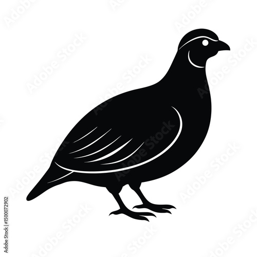 quail bird vector silhouette
