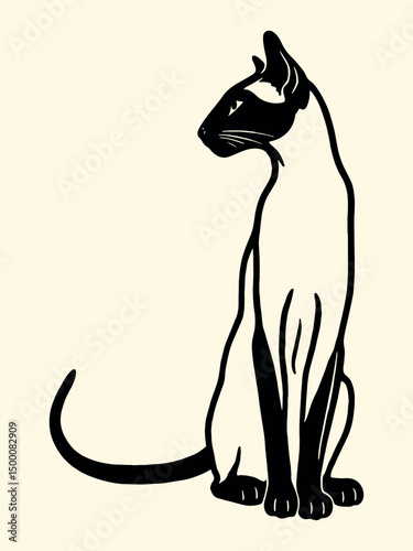  Oriental shorthair cat vector illustration