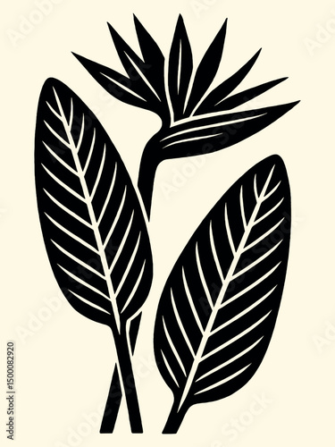 Bird of paradise tropical flower vector illustration