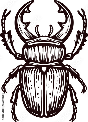 Detailed stag beetle with prominent mandibles and intricate body patterns