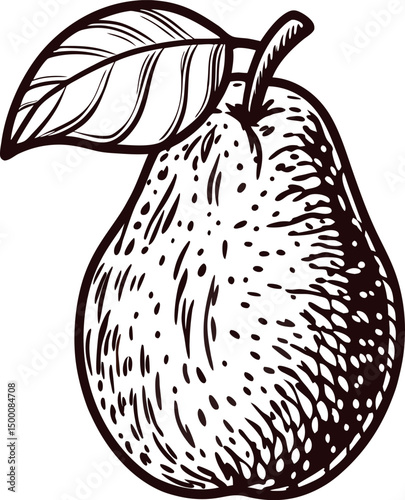Detailed black and white of a pear with leaf design