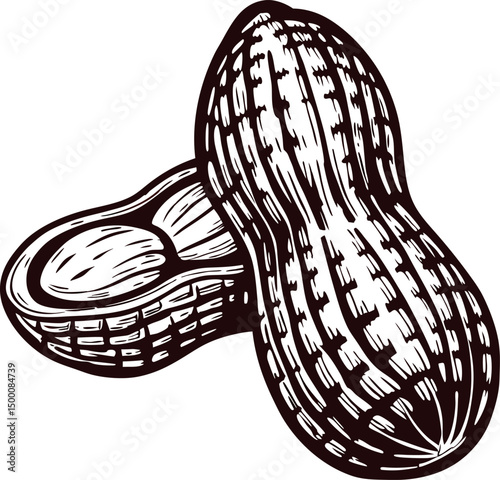 Detailed of whole and opened peanuts in black and white