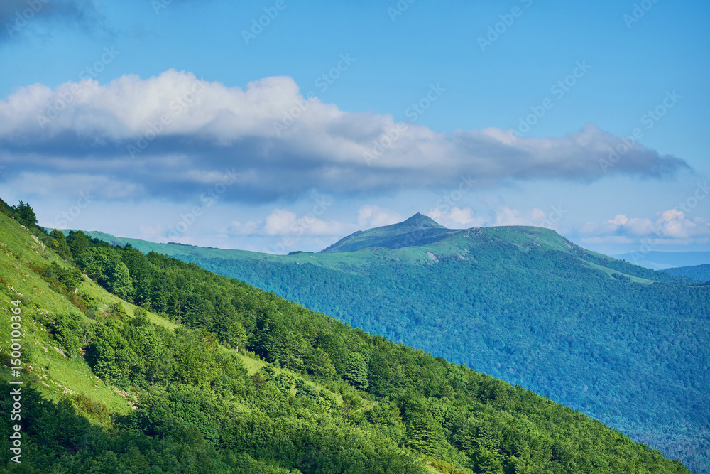 Fototapeta premium A lush green mountain range stretches under a dynamic sky filled with billowing clouds. Rolling hills, forested slopes, and a distant peak create a tranquil and scenic landscape summer Carpathian.