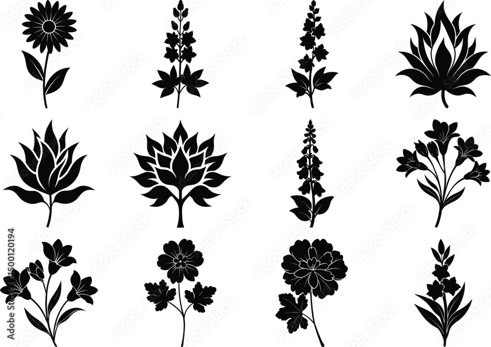 Fototapeta premium flower Vector Silhouette Bundle Vibrant Floral Design Set.