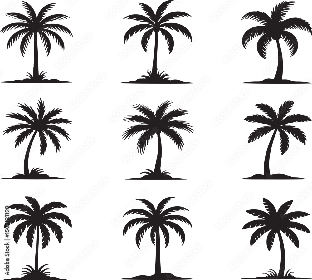 Fototapeta premium Set Of Black Silhouette Palm Trees Isolated On White Background