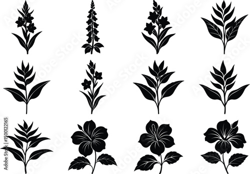 Hibiscus Arabian Flower Vector Silhouette Bundle Exotic Tropical Floral Set.