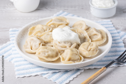 Traditional pelmeni, ravioli, dumplings filled with meat on plate, russian kitchen.