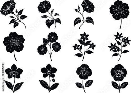 Hibiscus Champak Arabian Jasmine Flower Vector Silhouette Bundle Elegant Floral Set