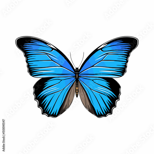 Vector Illustration of a Butterfly. Vector image