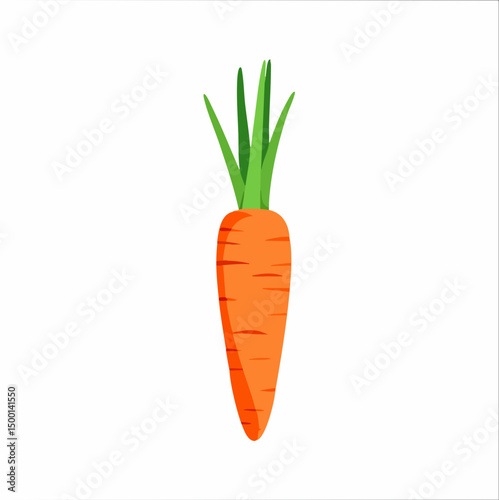 Vector illustration of a carrot. Vector image