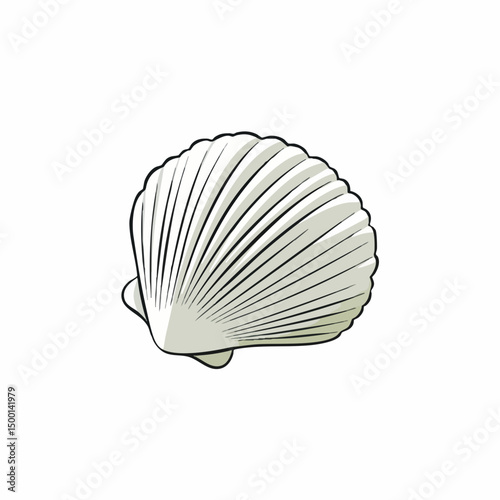 Scallop Shell Vector Illustration. Vector image