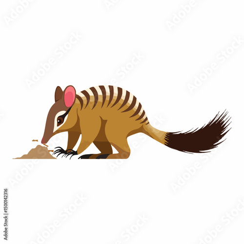 Numbat foraging for insects. Vector image