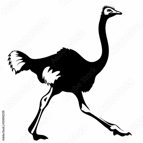 Ostrich Silhouette RunningVector image