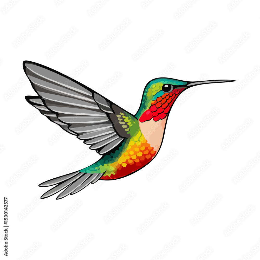 Fototapeta premium Hummingbird in Flight Vector Illustration. Vector image
