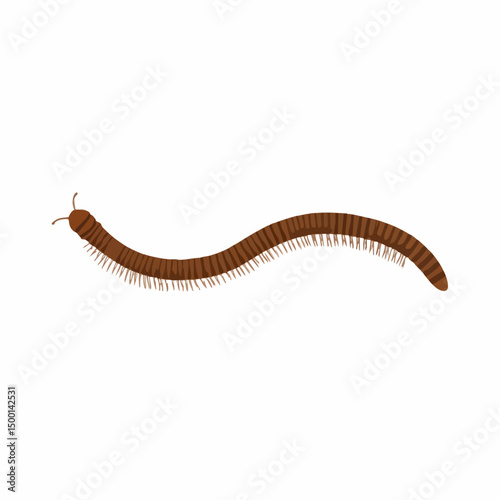 Millipede Vector Illustration. Vector image