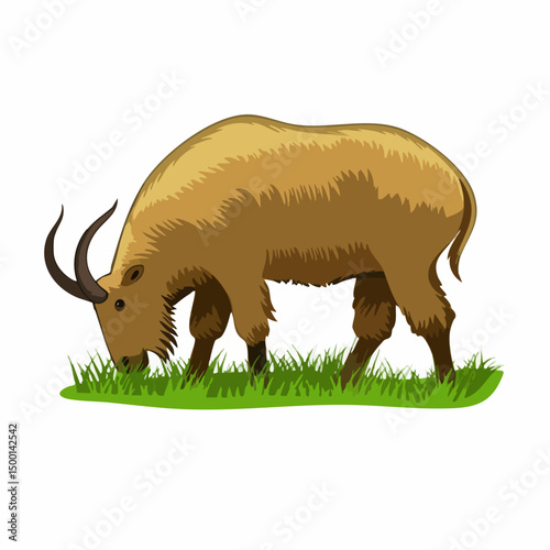 Long-horned ungulate grazing on grass. Vector image