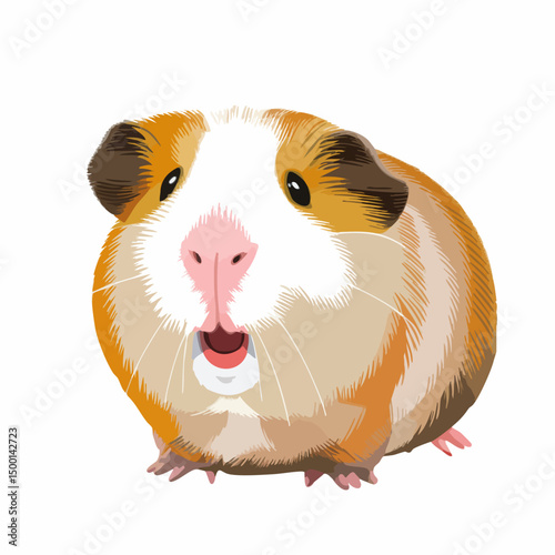 Guinea Pig Vector IllustrationVector image