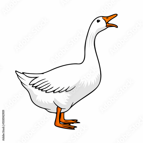 Domestic Goose Vector IllustrationVector image