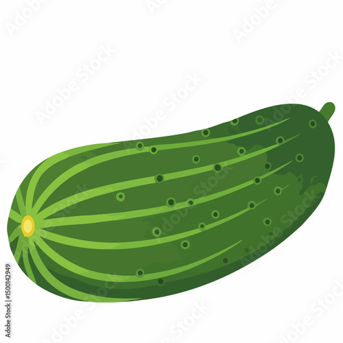 Cucumber Vector IllustrationVector image