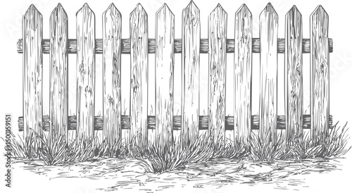 Wooden picket fence illustration with tall grass and rustic texture art sketch. Vector illustration