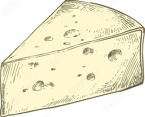 Illustration of a wedge of swiss cheese with holes in vintage style. Vector illustration