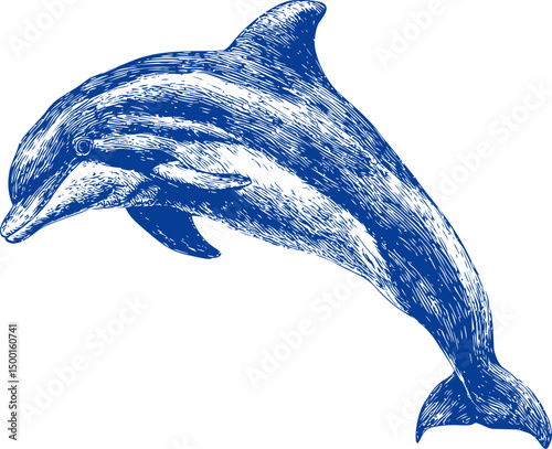 Illustrated blue dolphin with detailed texture in sketch style. Vector illustration