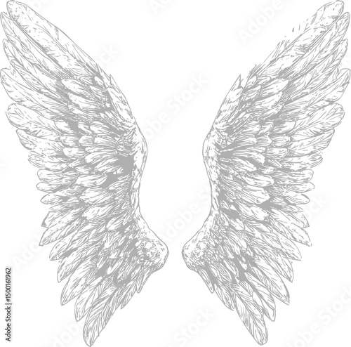 Detailed illustration of symmetrical angel wings in gray sketch style. Vector illustration