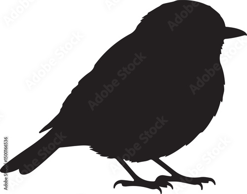 Accentor
