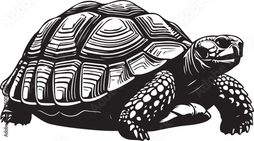 African Spurred Tortoise Top view vector silhouette on white background