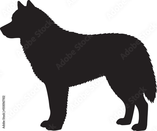 Alaskan Malamute vector silhouette on white background