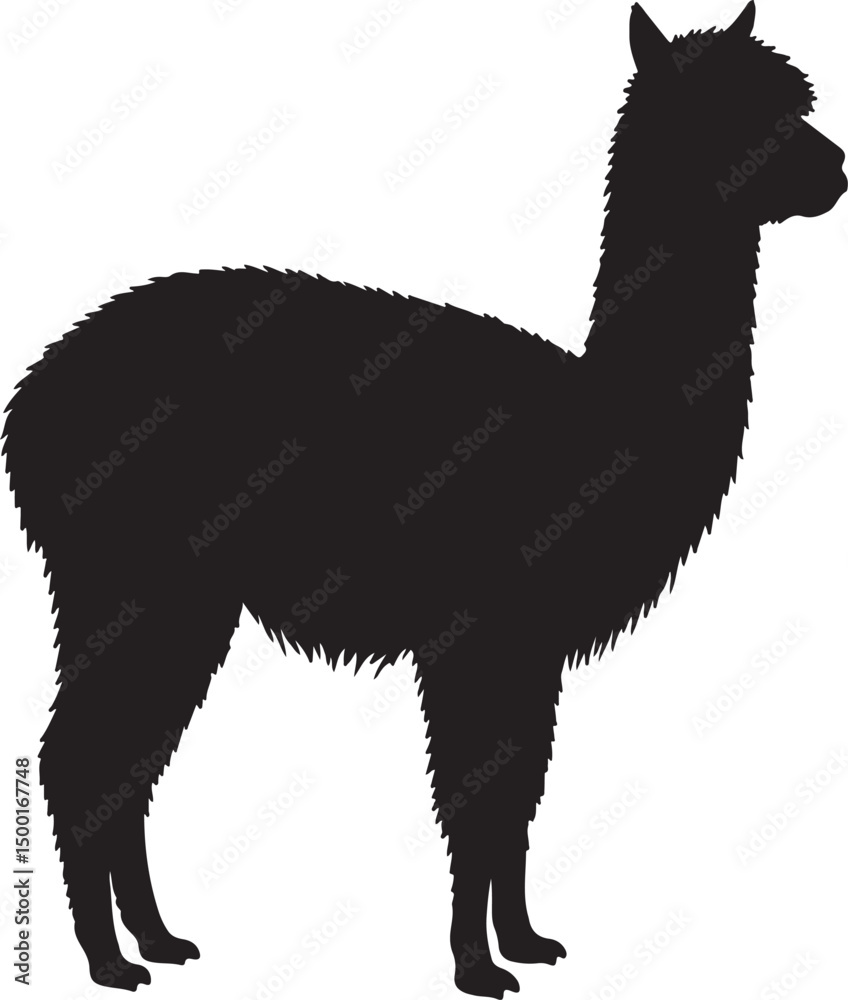Fototapeta premium Alpaca vector silhouette on white background