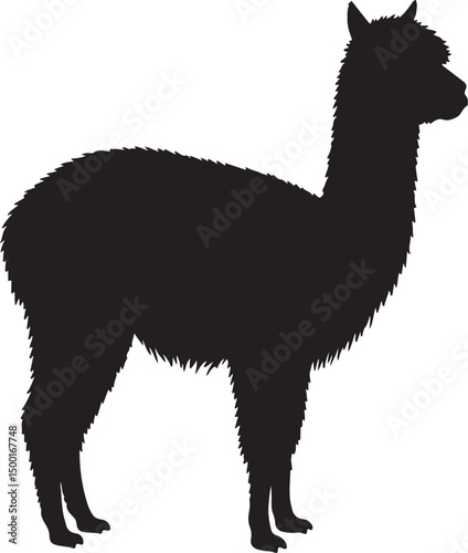 Alpaca vector silhouette on white background