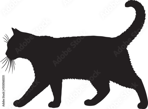 American Shorthair Cat vector silhouette on white background