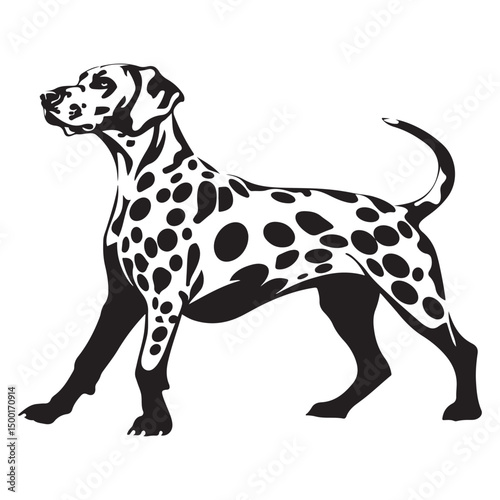 Dalmatian Dog silhouette Vector illustration. dalmatian line art silhouette vector