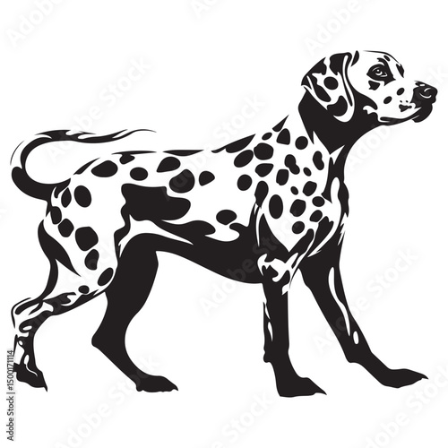 Dalmatian Dog silhouette Vector illustration. dalmatian line art silhouette vector