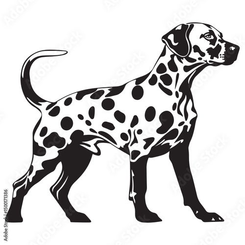 Dalmatian Dog silhouette Vector illustration. dalmatian line art silhouette vector