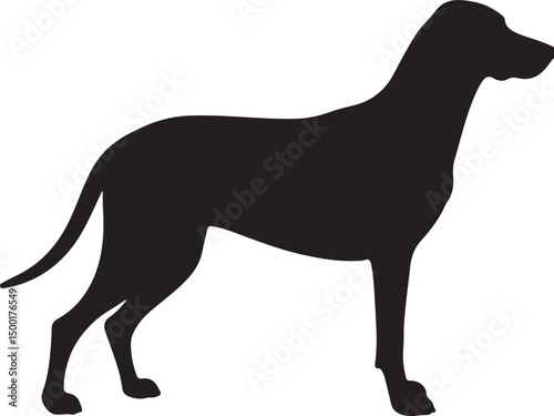 Austrian Black and Tan Hound vector silhouette on white background
