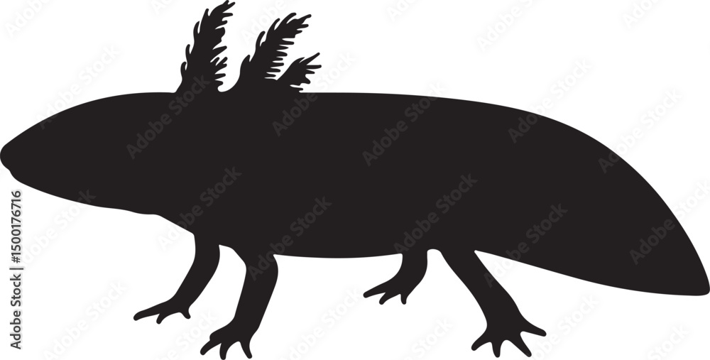 Fototapeta premium Axolotl vector silhouette on white background