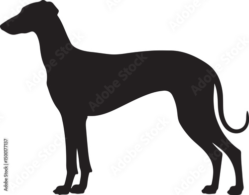 Banjara Hound vector silhouette on white background
