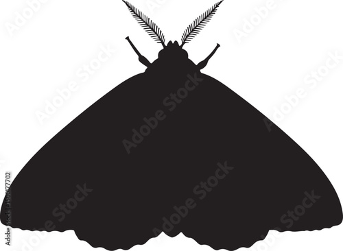 Barn Moth vector silhouette top-down view on white background