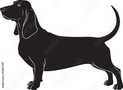 Basset Bleu de Gascogne vector silhouette on white background
