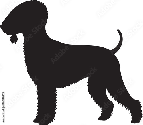 Bedlington Terrier vector silhouette on white background