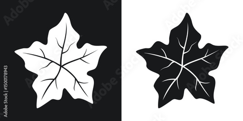 Vector illustration of a silhouette maple leaf in black and white contrasting backgrounds