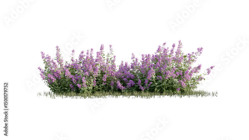 Lush Lilac Bush Border - Springtime Floral Arrangement