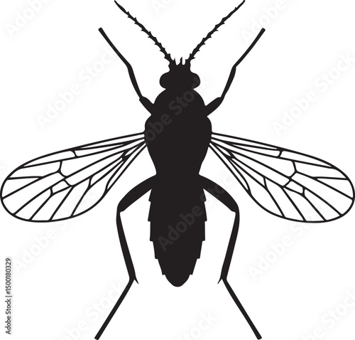 Biting Midge vector silhouette on white background