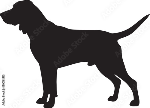 Black and Tan Coonhound vector silhouette on white background